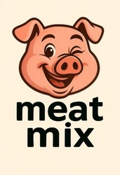 Заявка на торговельну марку № m202508640: meat mix