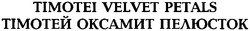 Свідоцтво торговельну марку № 61272 (заявка 20040808558): timotei velvet petals; тімотеі; тімотей оксамит пелюсток