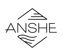 Заявка на торговельну марку № m202517381: anshe