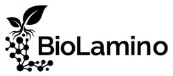 Заявка на торговельну марку № m202605021: віо; biolamino