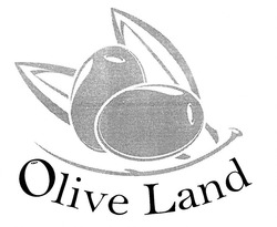 Свідоцтво торговельну марку № 338741 (заявка m202018209): olive land
