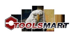 Свідоцтво торговельну марку № 322096 (заявка m202022686): toolsmart