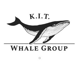 Заявка на торговельну марку № m202415172: кіт; whale group; kit; k.i.t.