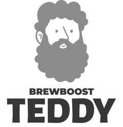 Заявка на торговельну марку № m202511895: brewboost teddy