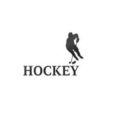 Заявка на торговельну марку № m202311947: hockey
