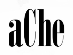 Свідоцтво торговельну марку № 326116 (заявка m202024395): ache