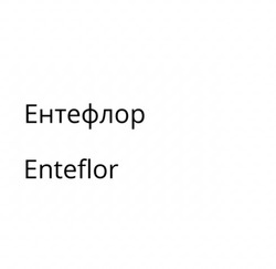 Заявка на торговельну марку № m202004578: enteflor; ентефлор