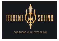 Свідоцтво торговельну марку № 281719 (заявка m201928786): trident sound; for those who loves music
