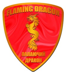 Заявка на торговельну марку № m202210342: палаючий дракон; flaming dragon