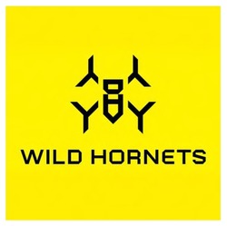 Заявка на торговельну марку № m202416266: y; wild hornets