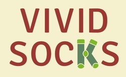 Заявка на торговельну марку № m202323554: vivid socks