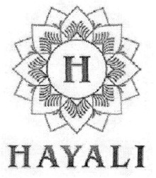 Свідоцтво торговельну марку № 298644 (заявка m201918014): hayali