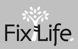 Свідоцтво торговельну марку № 342756 (заявка m202203409): fix life; fixlife