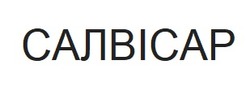 Заявка на торговельну марку № m202416484: салвісар