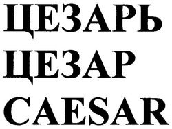 Заявка на торговельну марку № m200611104: цезарь; caesar
