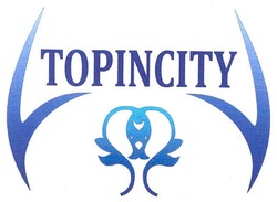 Свідоцтво торговельну марку № 140929 (заявка m201101713): topincity