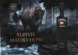 Свідоцтво торговельну марку № 289726 (заявка m201904724): нова преміальна горілка; відчуй магію ночі; wodka polska; zubrowka czarna