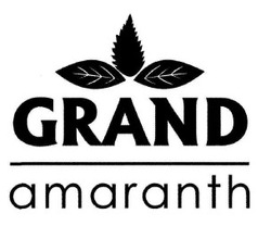 Заявка на торговельну марку № m201906379: grand amaranth