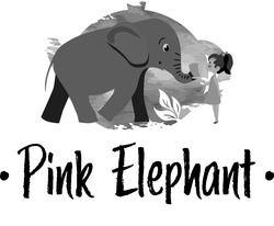 Заявка на торговельну марку № m202311878: pink elephant