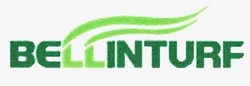 Свідоцтво торговельну марку № 313848 (заявка m201918119): bellinturf
