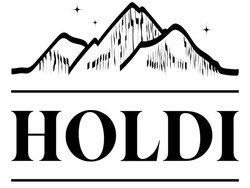 Заявка на торговельну марку № m202510778: holdi