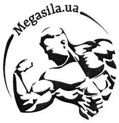 Заявка на торговельну марку № m202207268: megasila.ua