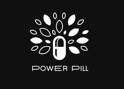 Заявка на торговельну марку № m202420697: power pill