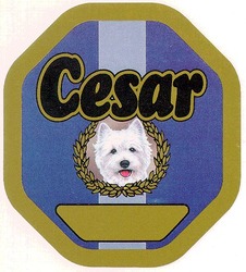 Свідоцтво торговельну марку № 14752 (заявка 95113080): cesar