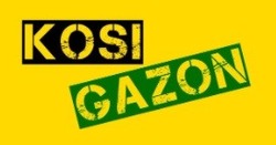 Свідоцтво торговельну марку № 307739 (заявка m202106885): kosi gazon