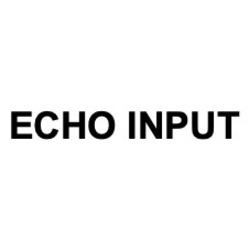 Свідоцтво торговельну марку № 294869 (заявка m201906102): echo input; есно