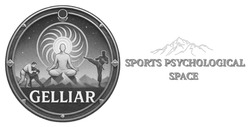 Заявка на торговельну марку № m202608812: sports psychological space; gelliar