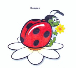 Свідоцтво торговельну марку № 227595 (заявка m201600050): бедрик