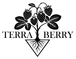 Заявка на торговельну марку № m202609956: terra berry
