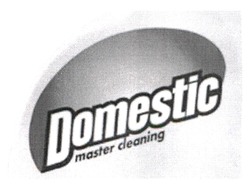 Заявка на торговельну марку № m202200756: domstic master cleaning
