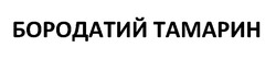 Свідоцтво торговельну марку № 352335 (заявка m202302956): бородатий тамарин