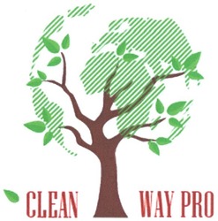 Заявка на торговельну марку № m201619142: clean way pro