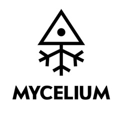 Свідоцтво торговельну марку № 345379 (заявка m202207599): mycelium