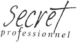 Свідоцтво торговельну марку № 77241 (заявка m200506163): secret; secvet; professionnel