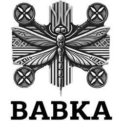 Заявка на торговельну марку № m202500909: вавка; babka