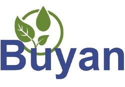 Свідоцтво торговельну марку № 317256 (заявка m202007037): buyan