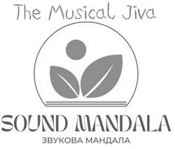 Заявка на торговельну марку № m202415792: звукова мандала; the musical jiva sound mandala