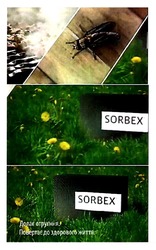 Свідоцтво торговельну марку № 299720 (заявка m201908261): sorbex; долає отруєння повертає до здорового життя