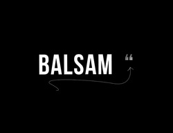 Заявка на торговельну марку № m202214207: balsam
