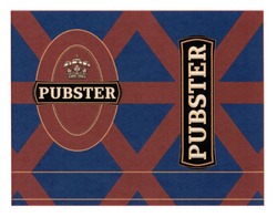 Заявка на торговельну марку № m202110508: pubster