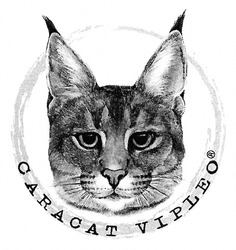 Свідоцтво торговельну марку № 292705 (заявка m201908565): caracat vipleo