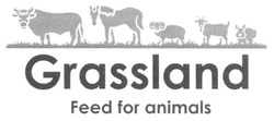 Свідоцтво торговельну марку № 262003 (заявка m201717429): grassland feed for animals