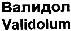 Свідоцтво торговельну марку № 7320 (заявка 93052257): validolum валидол