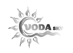 Заявка на торговельну марку № m202605554: voda sky