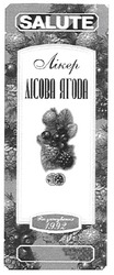 Заявка на торговельну марку № m200804093: salute; лікер лісова ягода; рік заснування 1992