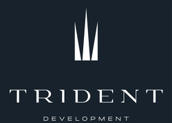 Свідоцтво торговельну марку № 374529 (заявка m202207893): trident development